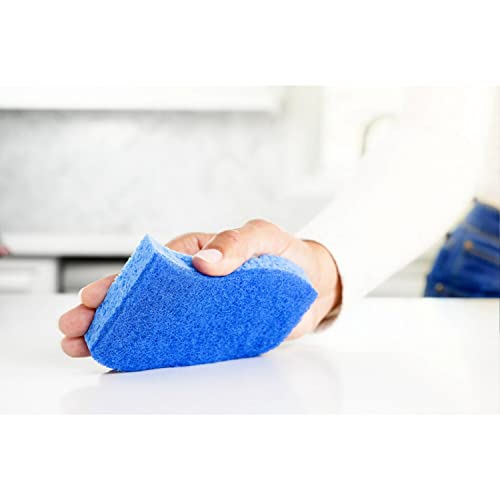 Scotch-Brite Non-Scratch Scrub Sponges, For Washing Dishes and Cleaning Kitchen, 6 Scrub Sponges