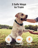 eufy Pet Dog Training Collar 2-Pack, 2 Rechargeable Training Collars with Remote, 3 Safe Training Modes, Soft Silicone Connectors, Safety Lock Switch, IPX7 Waterproof, Large Remote Range