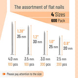 Mr. Pen- Nail Assortment Kit, 600pc, Small Nails, Nails, Nails for Hanging Pictures, Picture Hanging Nails, Finishing Nails, Hanging Nails, Picture Nails, Wall Nails for Hanging, Pin Nails