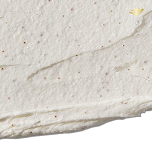 Dove Exfoliating Body Polish Scrub Reveals Visibly Smoother Skin Macadamia and Rice Milk Body Scrub That Nourishes Skin 10.5 oz