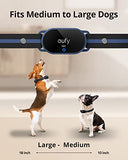 eufy Pet Dog Training Collar 2-Pack, 2 Rechargeable Training Collars with Remote, 3 Safe Training Modes, Soft Silicone Connectors, Safety Lock Switch, IPX7 Waterproof, Large Remote Range