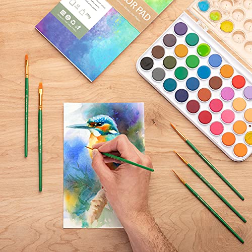 Norberg & Linden Watercolor Paint Set - 36 Premium Paints - 12 Page Pad - 6 Brushes - Painting Supplies with Palette, Watercolors, Art Pad Paper and Artist Brushes for