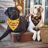 Yicostar Halloween Dog Bandanas, 2 Pack Pumpkin Reversible Dog Bandanas Triangle Bibs Pet Scarf Accessories for Small Medium Large Dogs and Cats