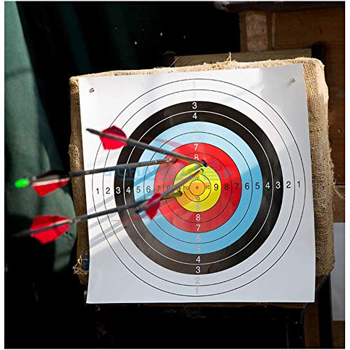 Procener 45" Bow and Arrow Set for Kids Archery Beginner Gift Recurve Bow Kit with 9 Arrows 2 Target Face 18 Lb for Teen Outdoor Sports Game Hunting Toy