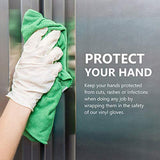 Disposable Gloves, Squish Clear Vinyl Gloves Latex Free Powder-Free Glove Health Gloves for Kitchen Cooking Food Handling, 100PCS/Box, Medium
