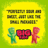 SOUR PATCH KIDS Big Individually Wrapped Soft & Chewy Candy, Halloween Candy, 240 Count Box
